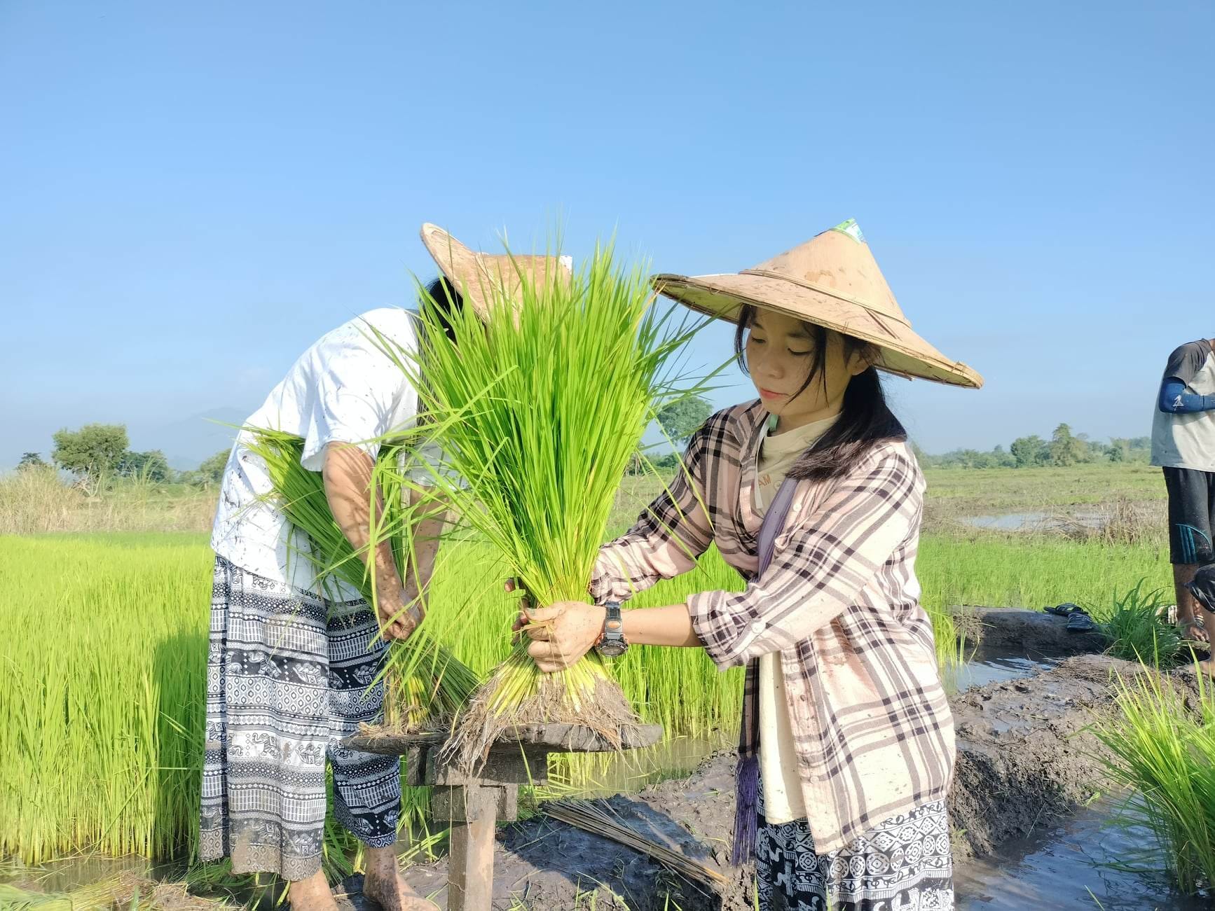 490771937 9426997127387448 2817086651825420930 N