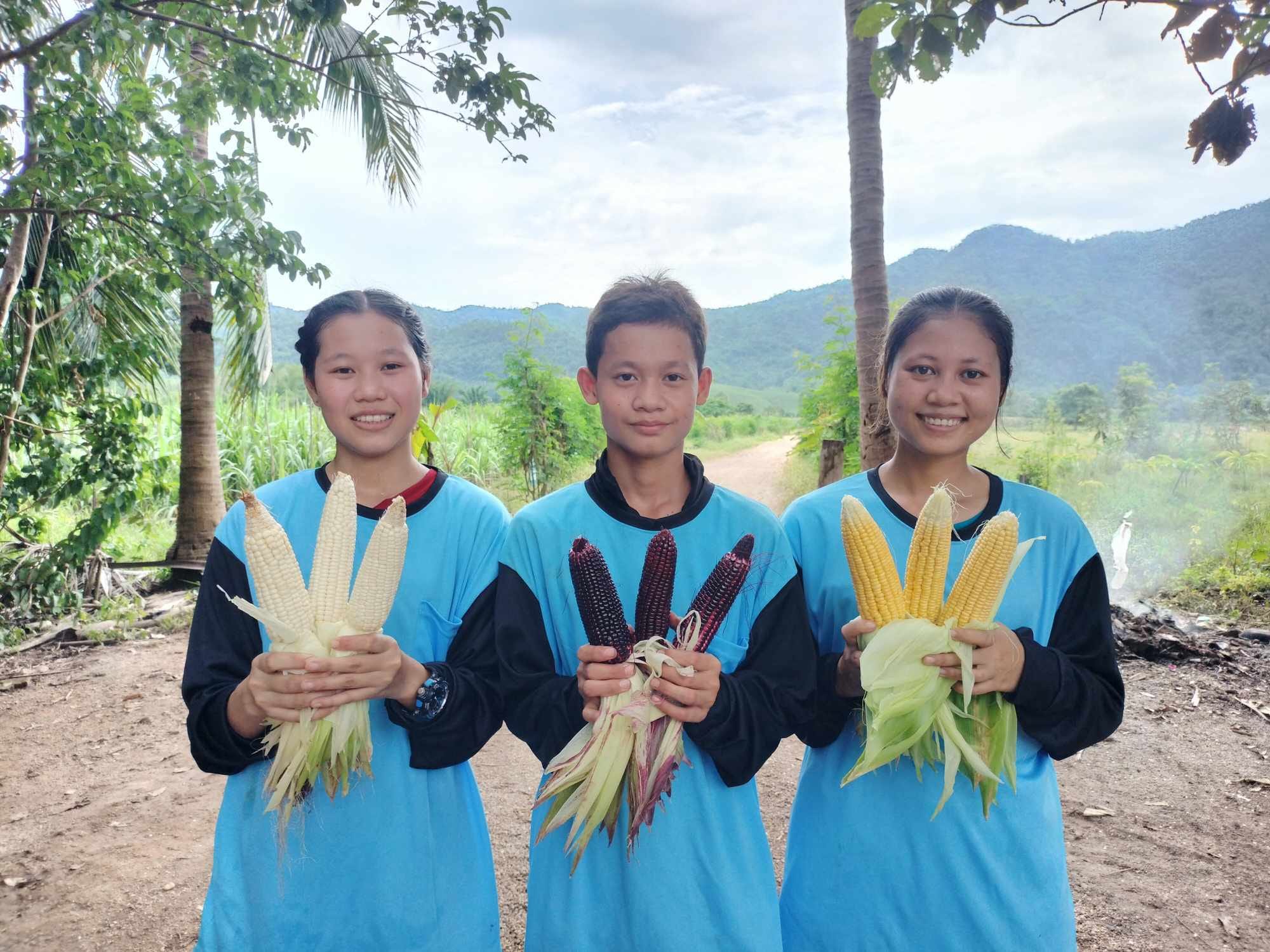 491965401 9480158072071353 1504723818229812353 N