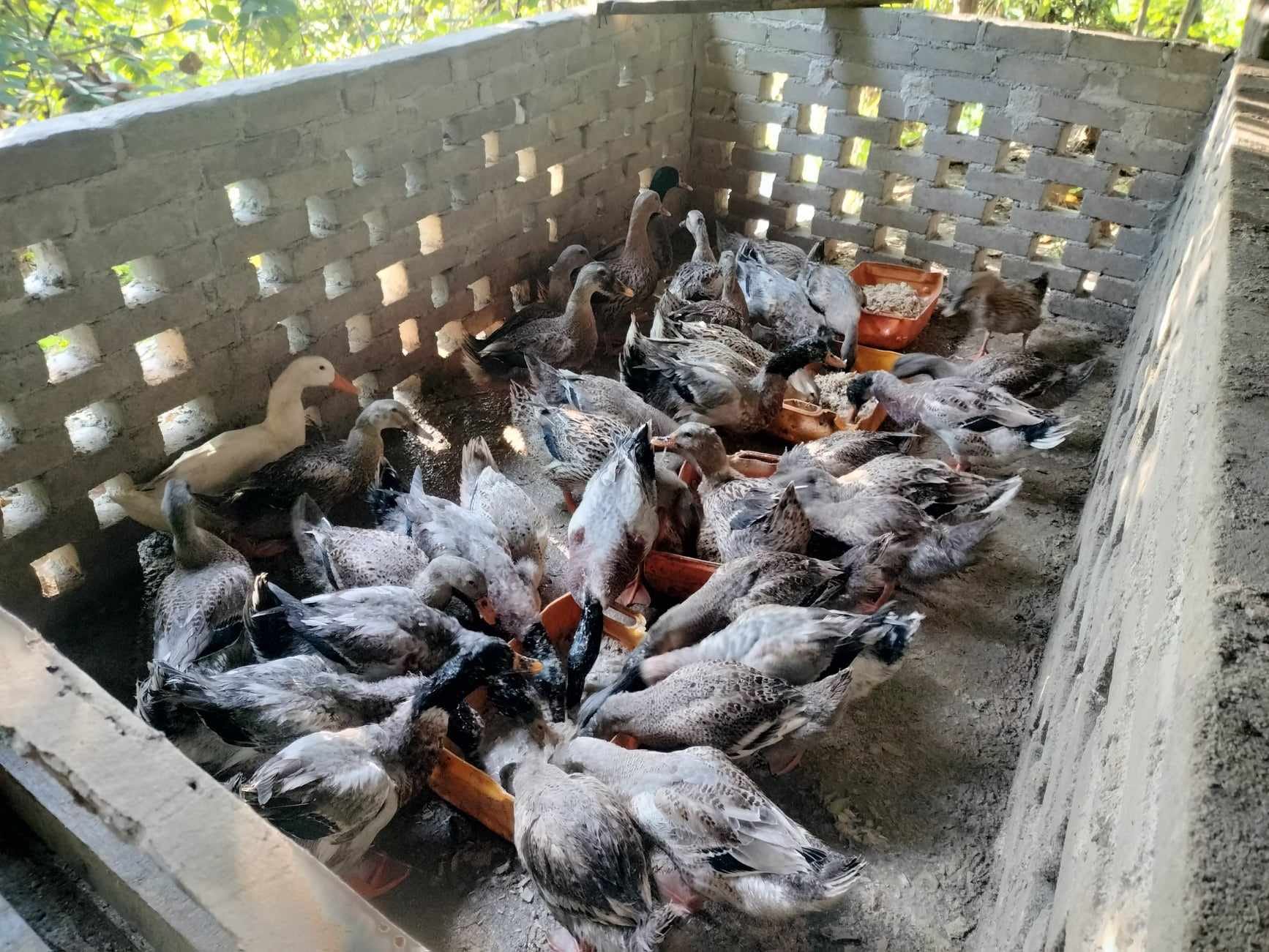 495127312 9539340036153156 227442184506299232 N