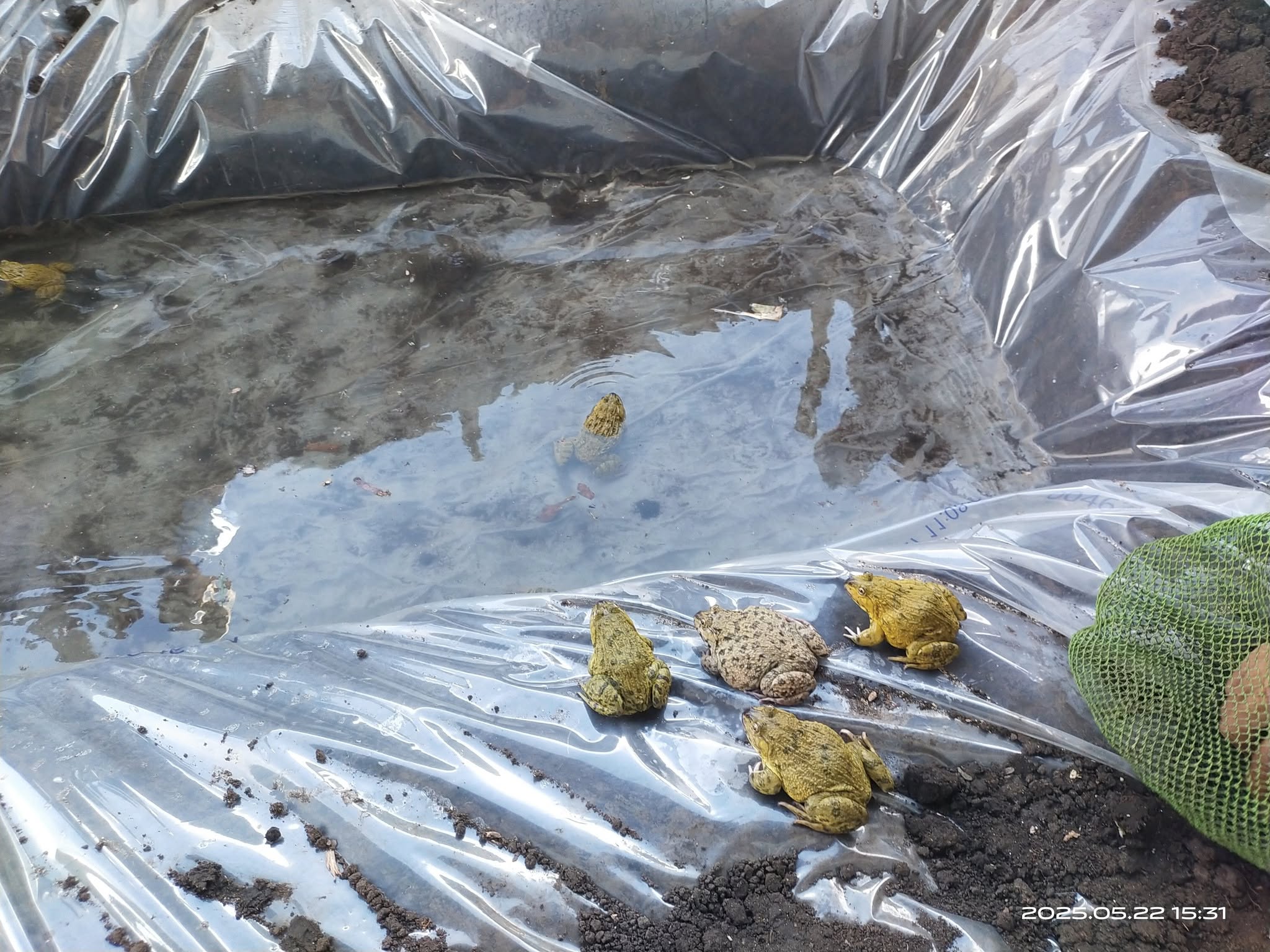 514198105 10008166989270456 8371604116258596855 N