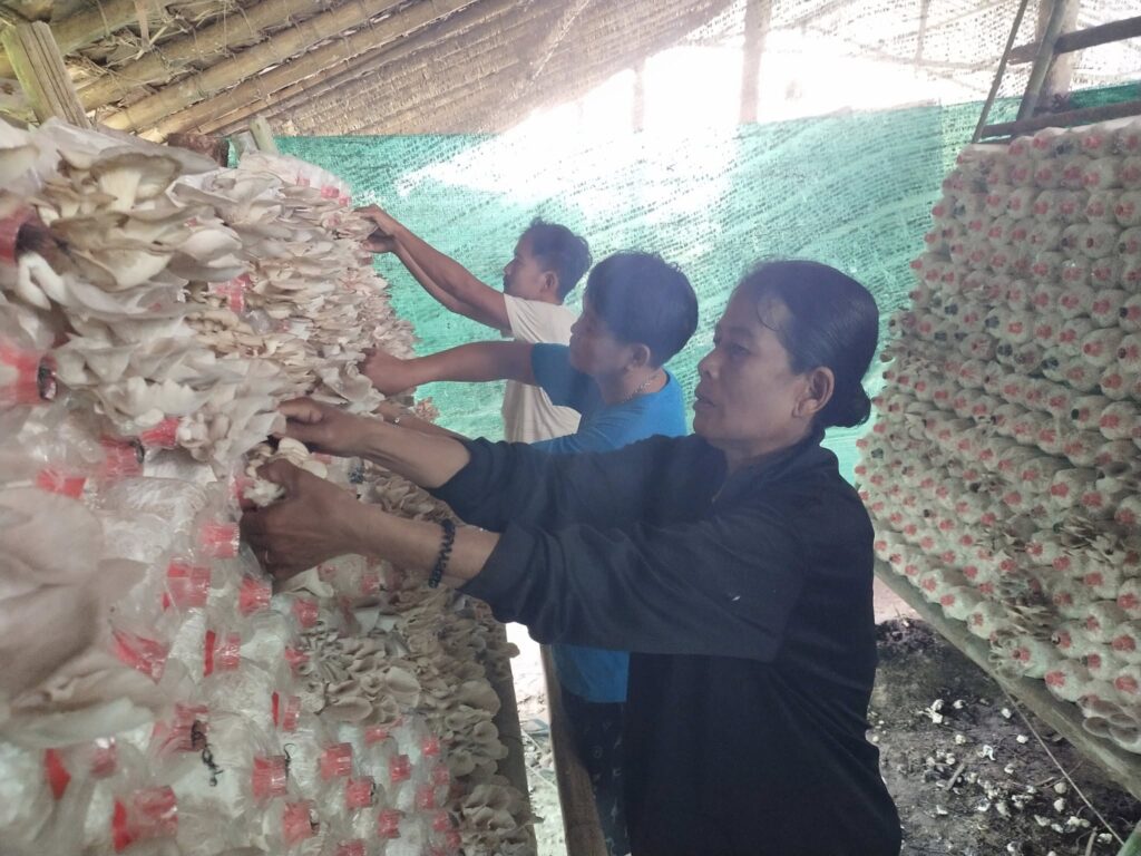 527393236 24038817242445528 5291476561571611210 n