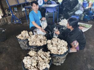 528139325 24038853325775253 3179525943126725424 n