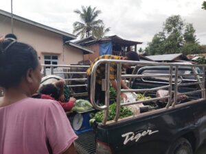 556260763 24503790629281518 8627365376422275538 n