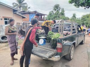 556642644 24503774972616417 6913568404372497047 n