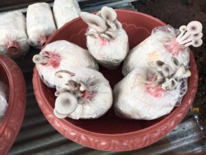 557737164 24504484479212133 9177827792993165472 n