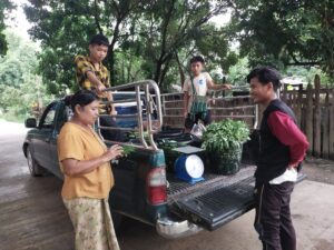 557916976 24503787579281823 1314232014057203529 n