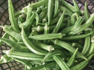 559730755 24591507890509791 2904569069681415265 n