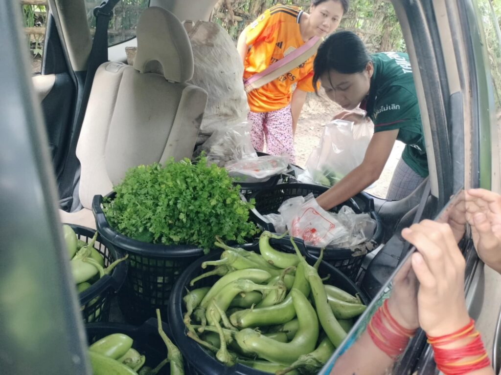 560258950 24581665054827408 7833133321414436034 n