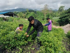 561067366 24580475031613077 104470270672656543 n